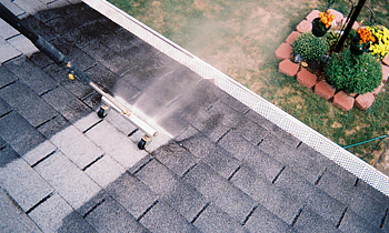 Roof Cleaning in Indianapolis IN Roof Cleaning Services in Indianapolis IN Roof Cleaning in IN Indianapolis Clean the roof in Indianapolis IN Roof Cleaner in Indianapolis IN Roof Cleaner in IN Indianapolis Quality Roof Cleaning in Indianapolis IN Quality Roof Cleaning in IN Indianapolis Professional Roof Cleaning in Indianapolis IN Professional Roof Cleaning in IN Indianapolis Roof Services in Indianapolis IN Roof Services in IN Indianapolis Roofing in Indianapolis IN Roofing in IN Indianapolis Clean the roof in Indianapolis IN Cheap Roof Cleaning in Indianapolis IN Cheap Roof Cleaning in IN Indianapolis Estimates on Roof Cleaning in Indianapolis IN Estimates in Roof Cleaning in IN Indianapolis Free Estimates in Roof Cleaning in Indianapolis IN Free Estimates in Roof Cleaning in IN Indianapolis